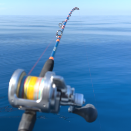 Key West Amberjack